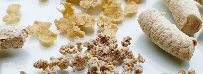 Texturized Vegetable Proteins