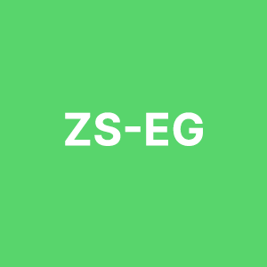ZS EG 300X300px