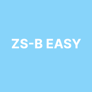 ZS B Easy 300X300px